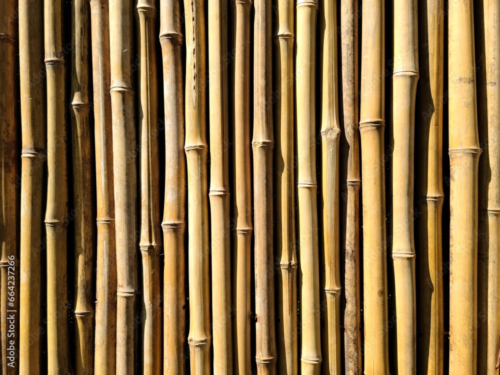 Yellow bamboo background texture, vertically Yellow bamboo background texture, vertically