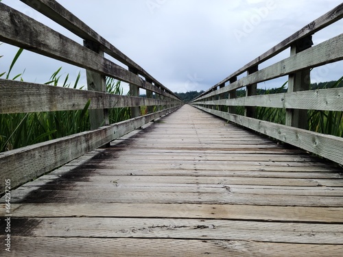 Perspective, low angle view of a wooden bridge over the river near wetland