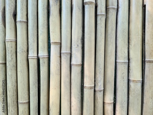 Natural bamboo background texture, vertically