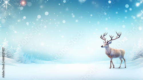 deer in the snow © Nimra