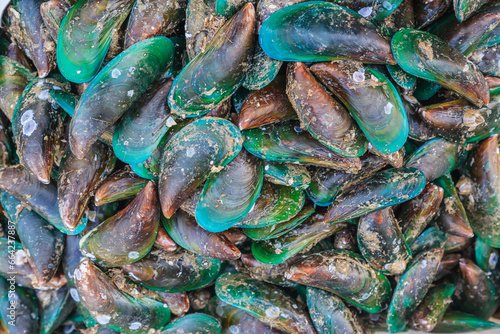 Palourde clams in a market in Bangkok, Thailand