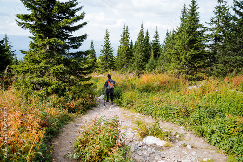 Girl walking in the forest with trekking poles, mountain hike on the trail down, coniferous forest, trekking in the mountains, traveling alone.