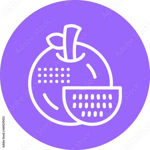 Vector Design Tangerine Icon Style