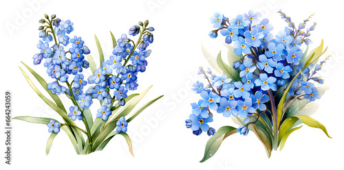 Forget me not flower watercolor  illustration clipart. Generative AI. #664243059