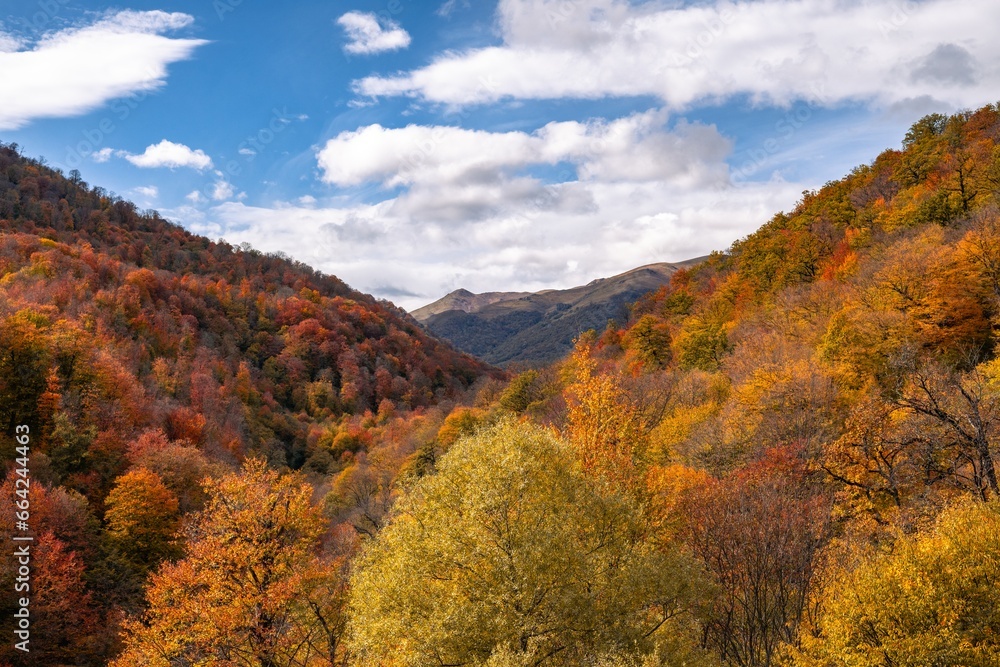 autumn in the mountains