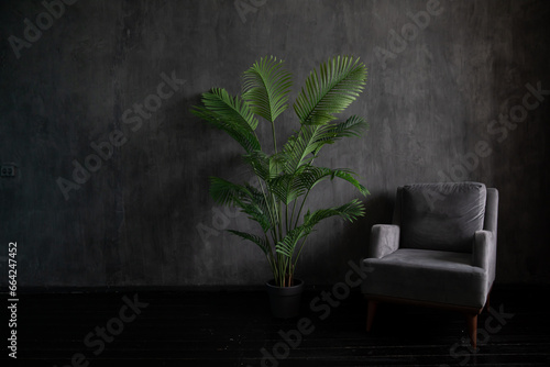 armchair and home flower in a dark room interior photo