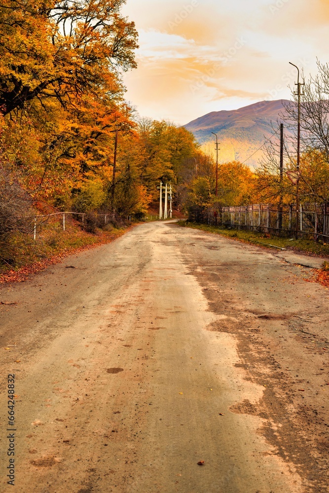 Obraz premium road in autumn