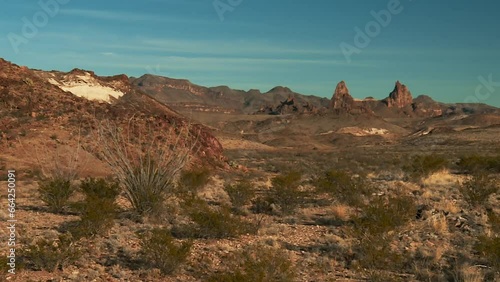 Ocotillo Plants Growing On Desert Landscape With Mountains. Big Bend National Park In Chihuahuan Desert, Texas. wide photo