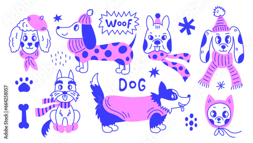 Winter dog doodle set. Funny modern pedigree puppies wearing hat sweater scarf with dog items. Vector illustration.