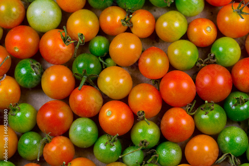 Cherry Tomatoes at Various Stages of Ripeness