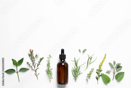 Bottle of essential oil and different herbs on white background, flat lay. Space for text