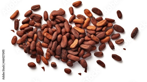 Bird s eye view of cocoa fr...