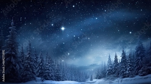 Christmas Eve winter forest...