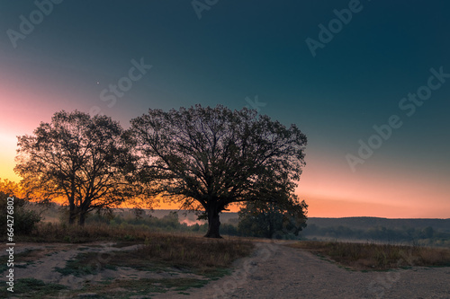 Morning sunrise silhouette landscape with two trees, hills and field with starry sky