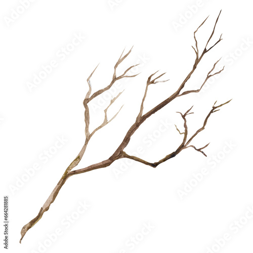 Watercolor illustration of dry tree branches isolated on a white background. rune drawing