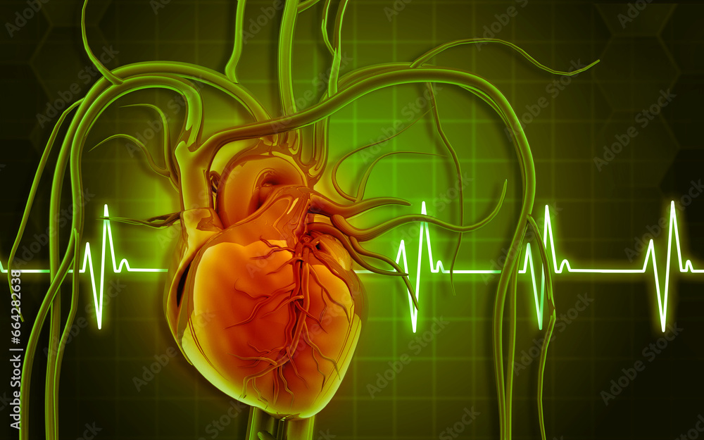Human heart anatomy with ecg background. 3d illustration.. Stock ...