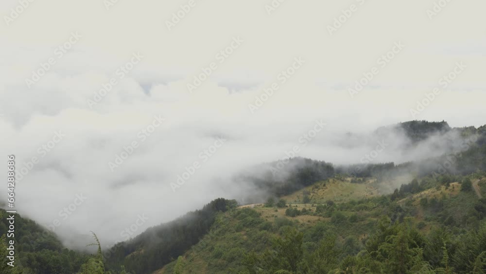 Fog cover mountain landscape in morning at summer.