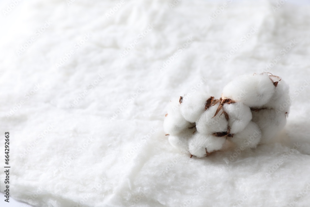 Naklejka premium Soft flowers on clean cotton, closeup. Space for text