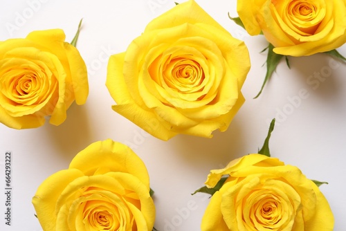 Beautiful yellow roses on white background  flat lay