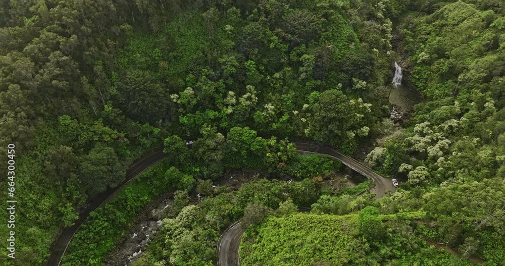 Maui Hawaii Aerial v37 birds eye view drone flyover Haipua'ena Falls