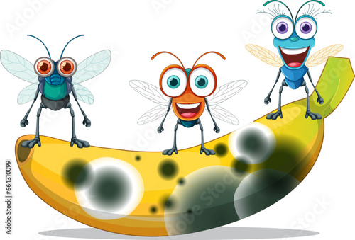 Decompose banana with smiley flies