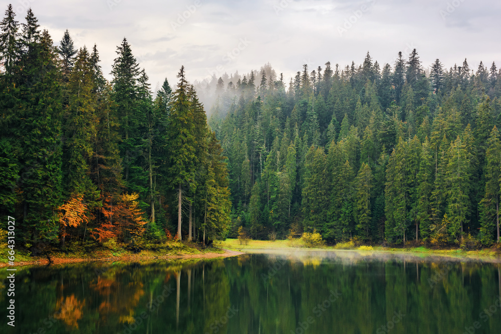 mountain lake among forest in autumn. nature scenery in fog at sunrise. cold overcast weather