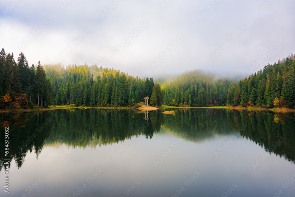 foggy morning by the lake in mountains. beautiful autumn landscape with overcast sky. nature scenery reflecting in the water. synevyr national park, ukraine