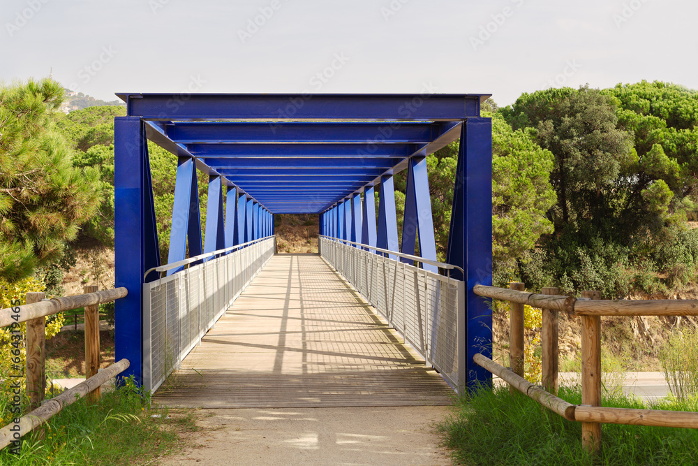 Blue metal walkway and wooden floor above road. There are some pine trees at end of it. Front view.