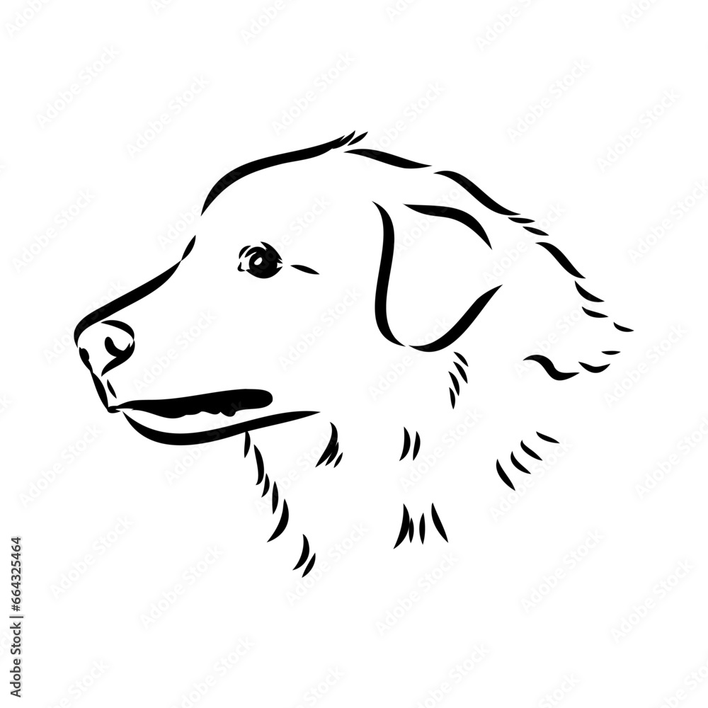 aidi dog, vector sketch outline pencil drawing artwork, black character on white background aidi dog, vector sketch outline pencil drawing artwork, black character on white background