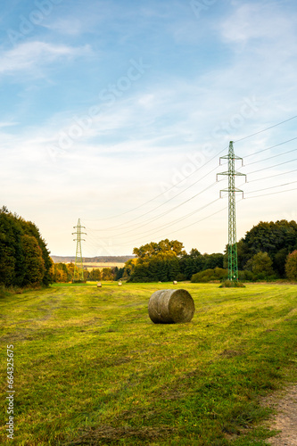 High voltage power line on agriculture land at meadow.