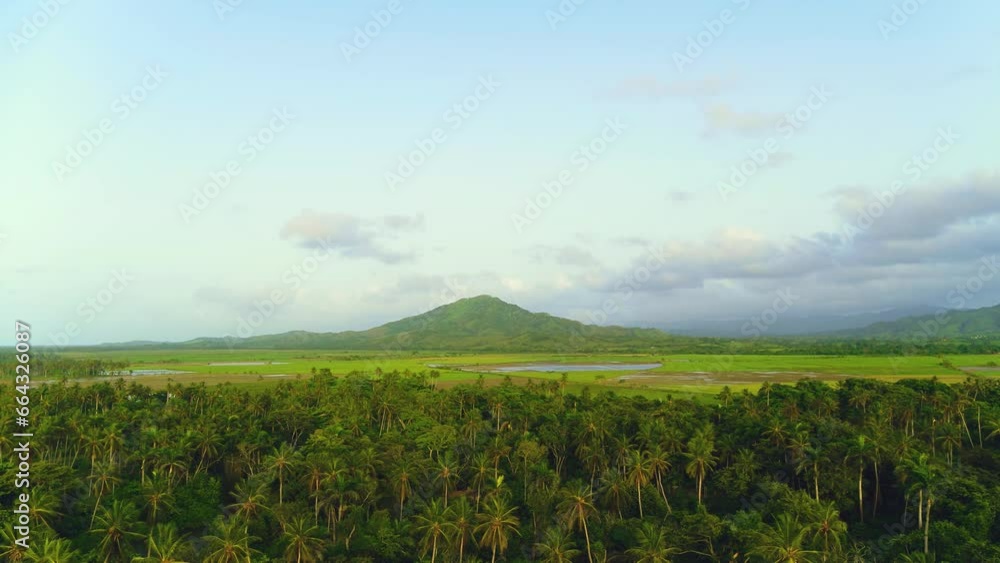 Aerial view of the wild Dominican palm beach of Limon. Summer landscape of wild nature. Panoramic view with plenty of space to visit. Summer view of nature. Sea coast of a paradise island. Aerial view of the wild Dominican palm beach of Limon. Summer landscape of wild nature. Panoramic view with plenty of space to visit. Summer view of nature. Sea coast of a paradise island.