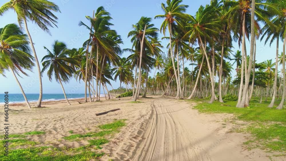 Paradise nature and sea on a tropical beach with green palms. Exotic beach with white sand and coconut trees. Travel tourism wide panoramic background concept. Relaxation on the sea waves. Paradise nature and sea on a tropical beach with green palms. Exotic beach with white sand and coconut trees. Travel tourism wide panoramic background concept. Relaxation on the sea waves.
