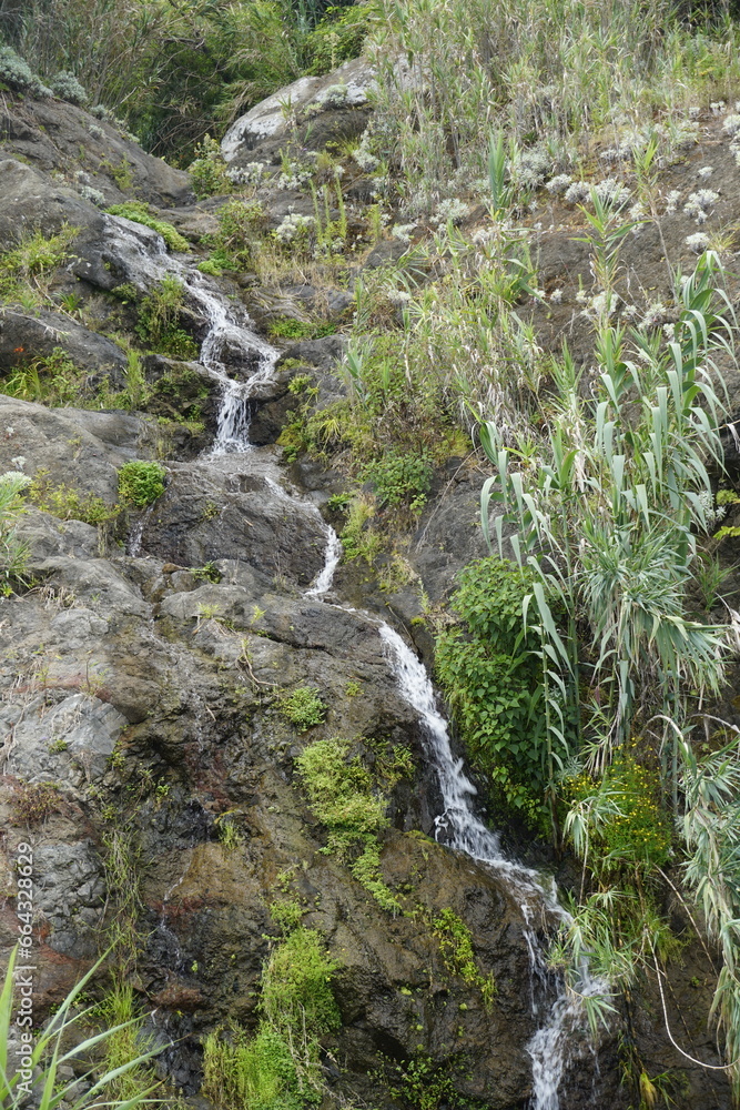 Madeira Island. Rocky slopes on the northern shore. Wet tropics. Mountain river and waterfall. Madeira Island. Rocky slopes on the northern shore. Wet tropics. Mountain river and waterfall.
