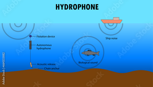 Diagram of how the hydrophone works