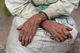 Hands of a coffee picker in Colombia, Manizales, Caldas, South America