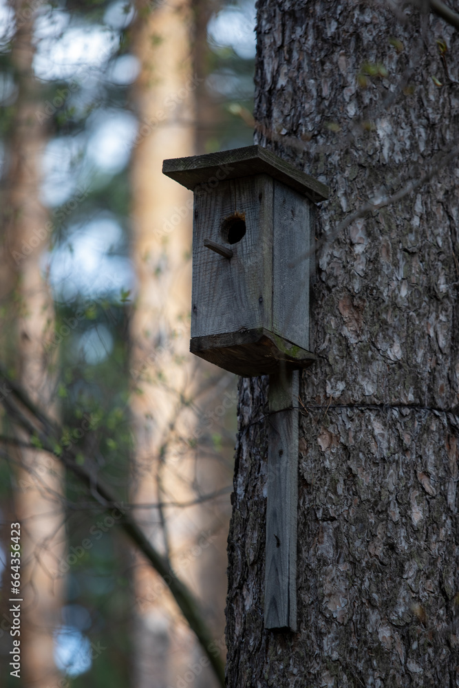 Wooden house for birds in the forest. Wooden house for birds in the forest.