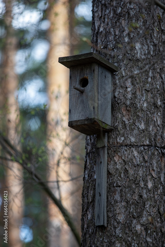 Wooden house for birds in the forest.