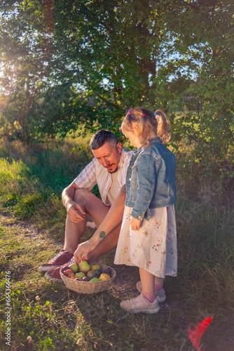 Little beautiful girl with her dad eating apples from a wicker basket in a sun-drenched meadow while sitting in the shade under a tree.