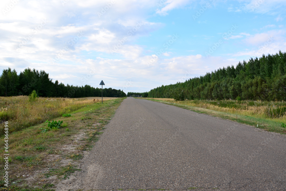 empty asphalt road going forward with forest and blue sky with clouds