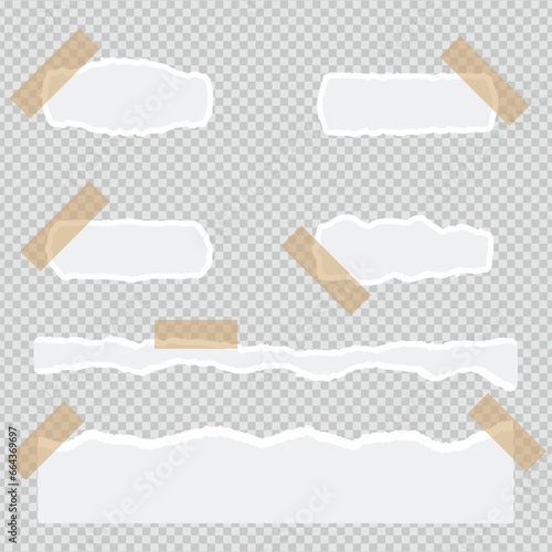 Strips torn paper transparent background with ripped cut effect blank empty label banner design vector file
