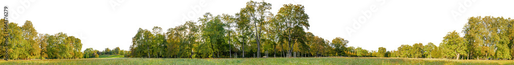 tree line trees autumn xl horizontal seamless arch viz cutout