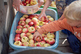 Apfelfest im Waldorfkindergarten