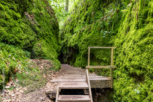 Bilder aus der Drachenschlucht bei Eisenach Th  ringen