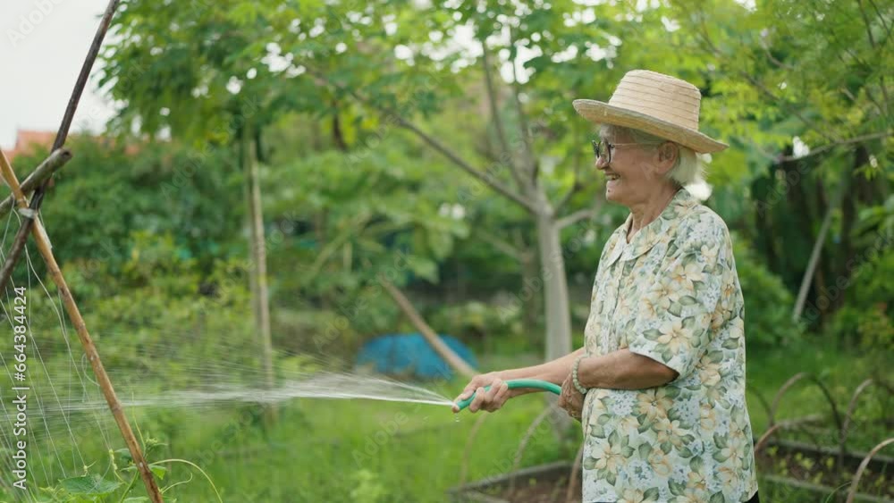 Happy Asian elderly woman watering plants in the backyard. Asian elderly woman holding garden hose watering plants green garden at home. Lifestyle of retirement concept Happy Asian elderly woman watering plants in the backyard. Asian elderly woman holding garden hose watering plants green garden at home. Lifestyle of retirement concept