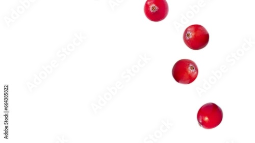 cranberry berry falls. background. healthy berries. 4k video illustration.