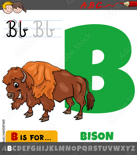 letter B from alphabet with cartoon bison animal