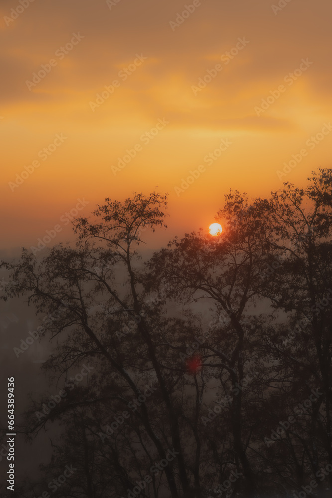 View of the city, the silhouette of trees at sunset. Winter sunset and haze over the city.