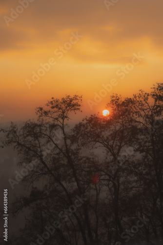 View of the city  the silhouette of trees at sunset. Winter sunset and haze over the city.