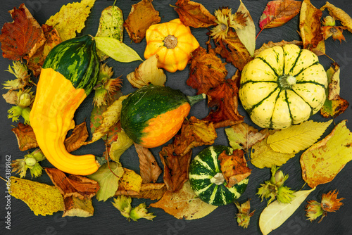 Autumn still life with pumpkins and leaves.