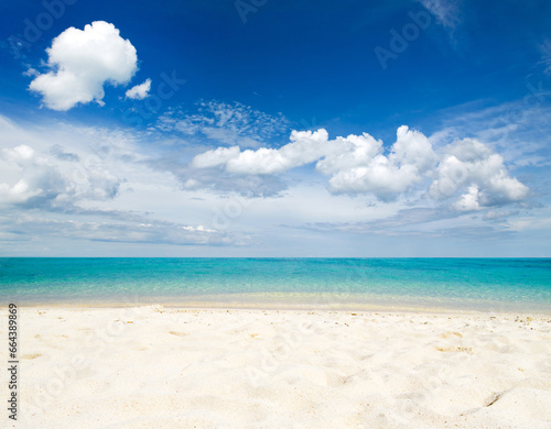 tropical Maldives island with white sandy beach and sea